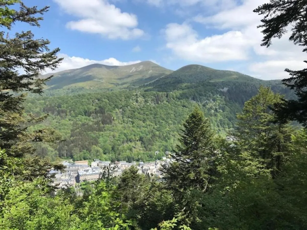 Apartment Charmant Duplex T3 Au Mont-Dore, A 300M Des Thermes, Avec Parking Et Wifi ! - Fr-1-608-151 France